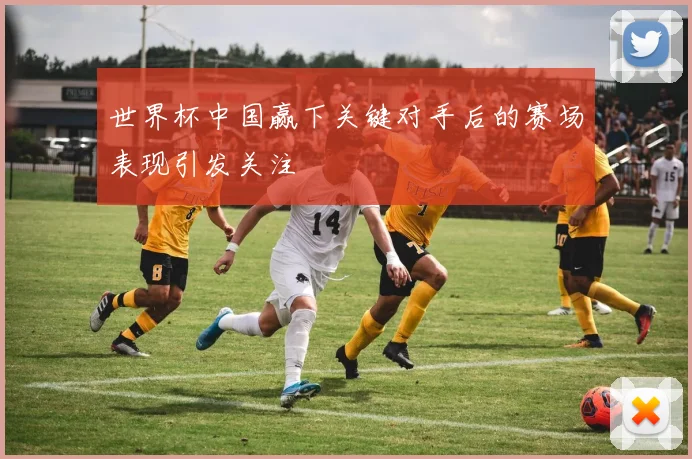 世界杯中国赢下关键对手后的赛场表现引发关注
