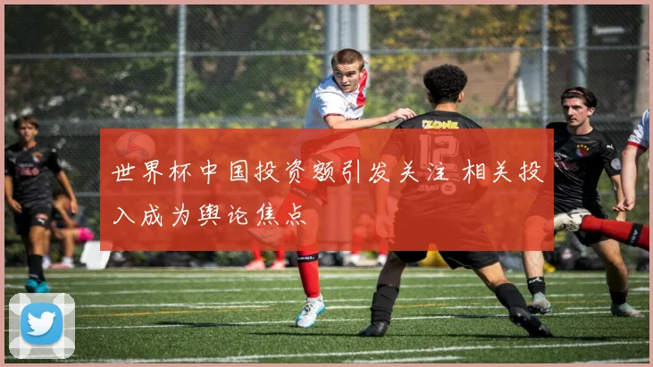 世界杯中国投资额引发关注 相关投入成为舆论焦点