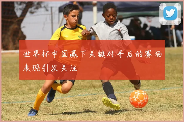 世界杯中国赢下关键对手后的赛场表现引发关注