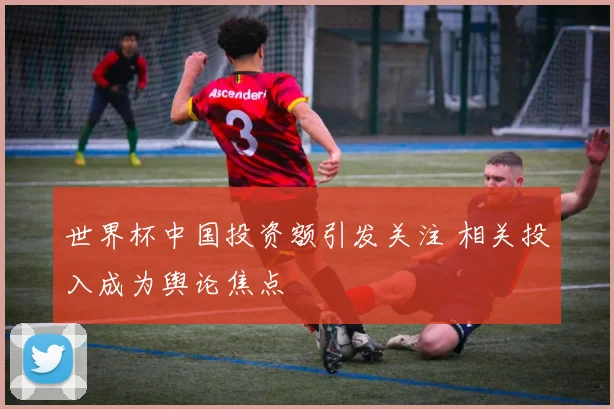 世界杯中国投资额引发关注 相关投入成为舆论焦点