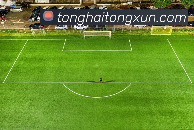 世界杯官网登录app平台生态图