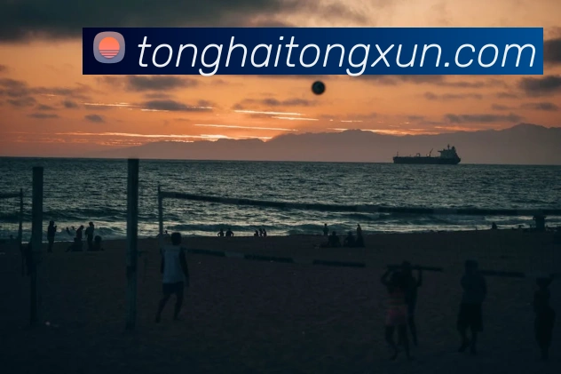 世界杯官网登录appAPP 封面图